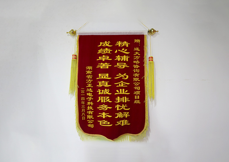 精心輔導，為企業(yè)排憂解難